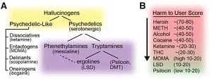 DMT, LSD, and Psilocybin
