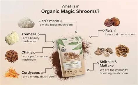 Discovering Psilocybin: A Handbook to Safely Securing Organic Magic Mushrooms Online in Shippagan