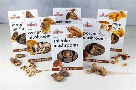 A Guide to Securely Obtaining Organic Magic Mushrooms Online in Campbellton