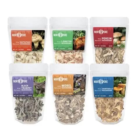 Tutorial to Cautiously Securing Organic Magic Mushrooms Online in South Burnaby